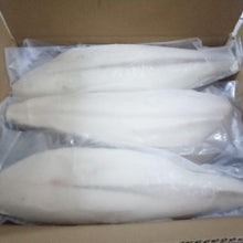 MENTEGA FILLET IKAN Gred A USA Saiz Standard