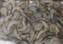 PRAWN WHITE FRESH