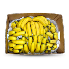 PISANG MONTEL /BANANA CAVENDISH Fresh