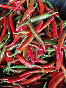 CILI MERAH Besar/ RED CHILLE A 红辣椒