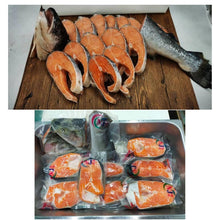FISH SALMON WHOLE Norwegian Atlantic Frozen