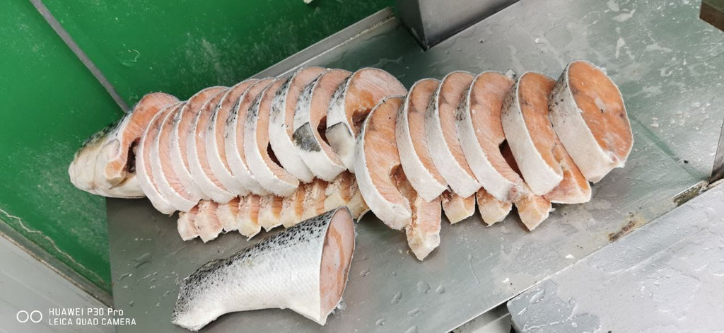 FISH SALMON WHOLE Chilean Frozen 3-6kg+-/nos