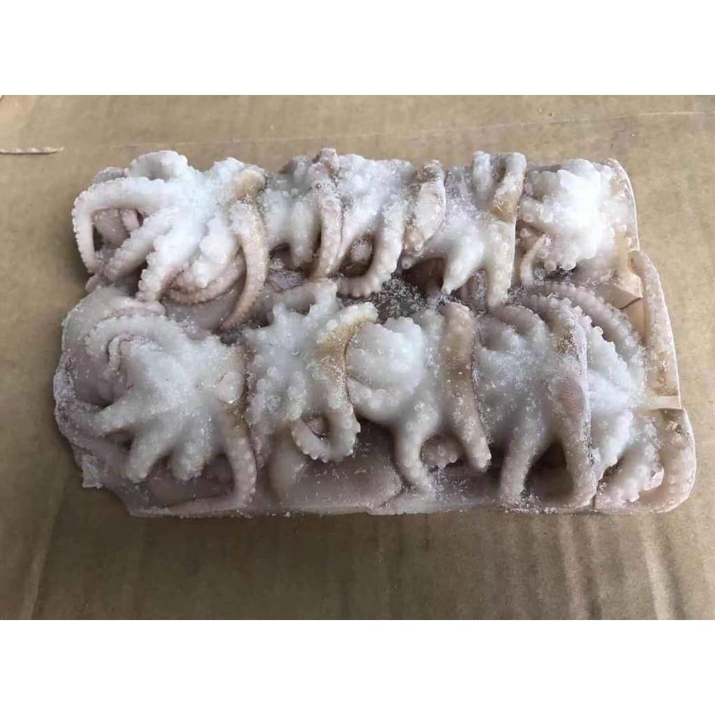 OCTOPUS BABY White 8no/pack