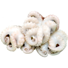 OCTOPUS BABY White 8no/pack