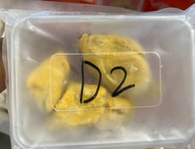 DURIAN Frozen 300g+-/pk