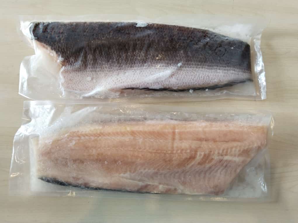 FISH FILLET TOMAN/Snakehead 多鳗鱼片 冷冻