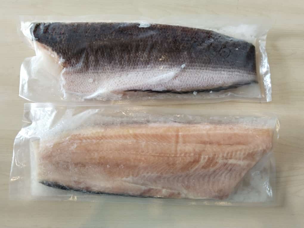 FISH FILLET TOMAN/Snakehead 多鳗鱼片 Frozen
