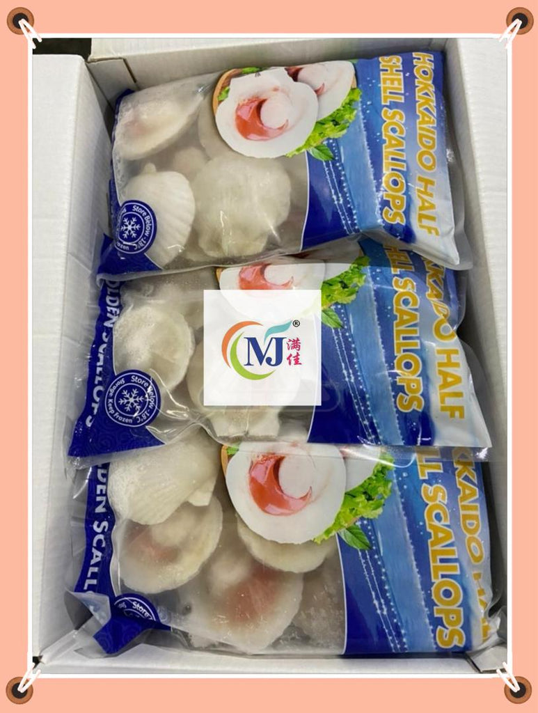 SCALLOP WHITE 1/2 Shell 10-12cm China