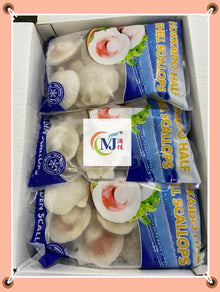 SCALLOP WHITE 1/2 Shell 10-12cm China