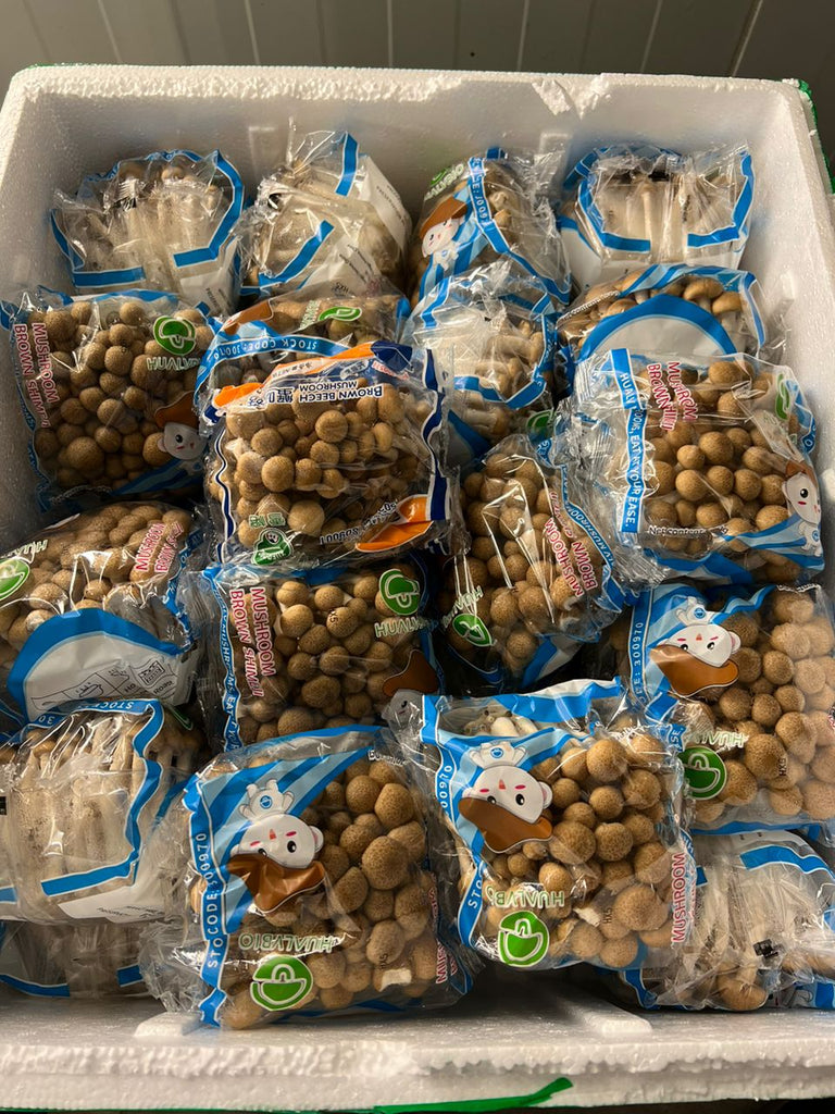 MUSHROOM SHIMEJI Brown