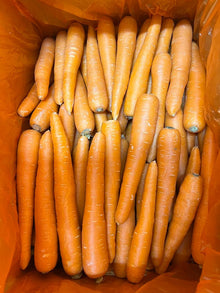 CARROT Australian
