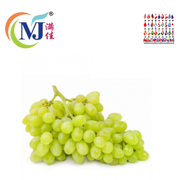 GRAPE/Anggur GREEN Seedless