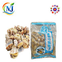 ASARI CLAM Boiled Frozen