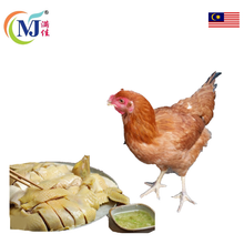 CHICKEN VILLAGE Females 菜园母鸡