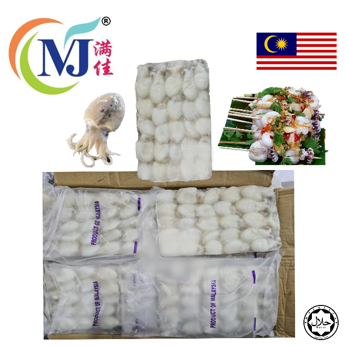 SOTONG KATAK/Baby Cuttlefish Premium