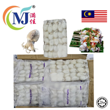 SOTONG KATAK/Baby Cuttlefish Premium