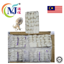 SOTONG KATAK/Baby Cuttlefish Premium