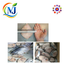 FISH TENGGIRI FLOWER Frozen