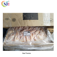 TENDON LEMBAGA Argentina