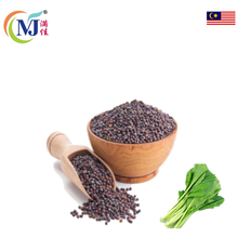 BIJI SAWI Hitam