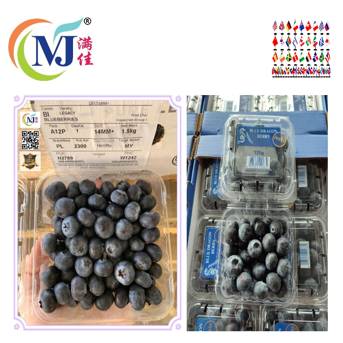 Blueberries Australian Fresh