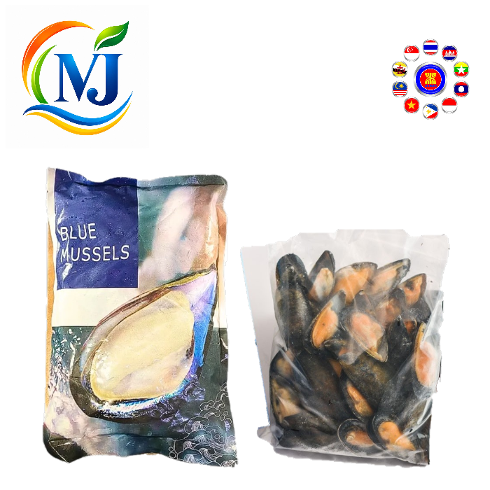 MUSSEL BLUE 全壳 454克/包