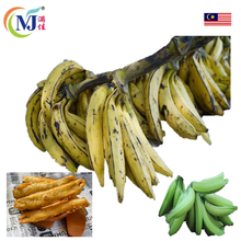 PISANG TANDUK/BANANA HORNS