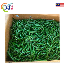 CILI PADI HIJAU