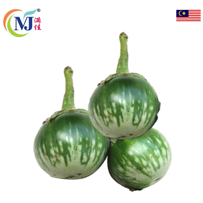 TERUNG BULAT/Terung Bulat HIJAU