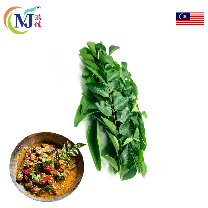 DAUN KARI/Curry Leaf