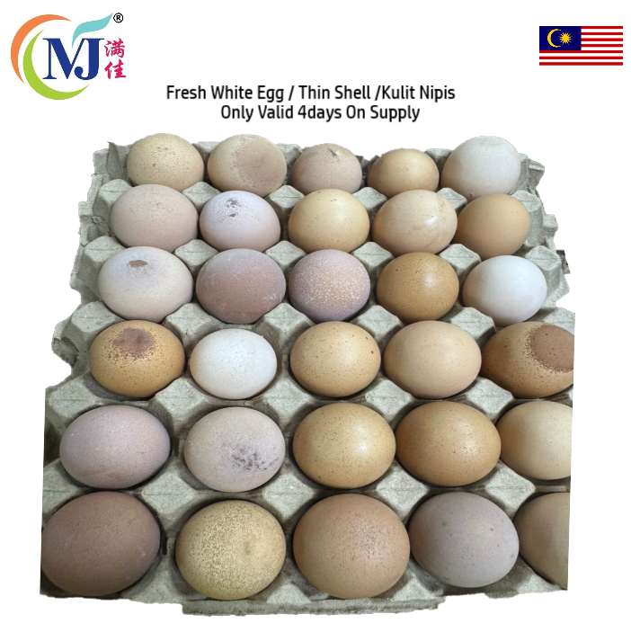 TELUR OMEGA LTK Sederhana 10pcs/pek