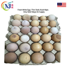 TELUR OMEGA LTK Sederhana 10pcs/pek