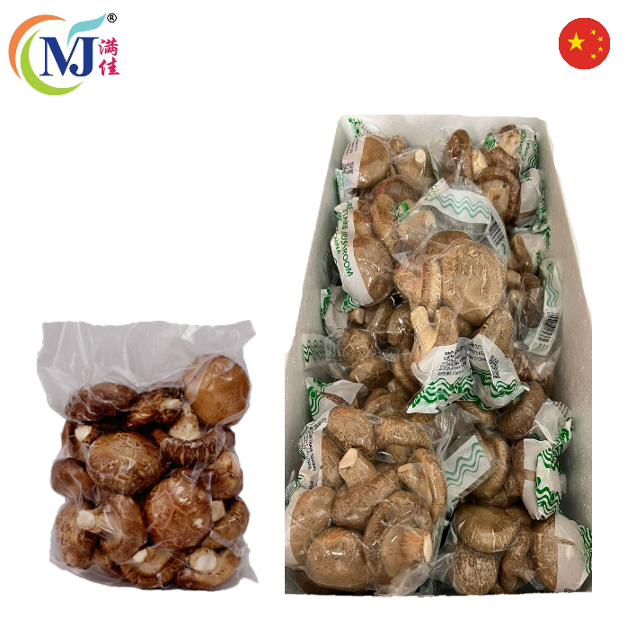 MUSHROOM SHITAKI Fresh 200g/pek