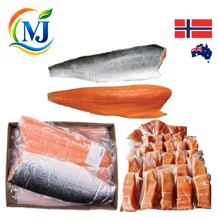 FISH FILLET SALMON Skin-On