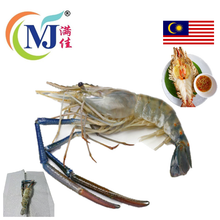 UDANG GALAH / FRESH WATER PRAWN From BORNEO