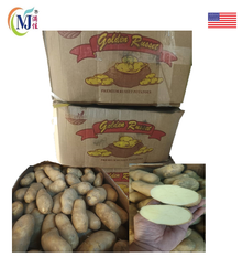 POTATO RUSSET USA