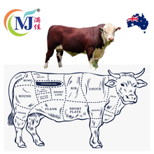 牛腩排 GrainFed 澳洲冷冻