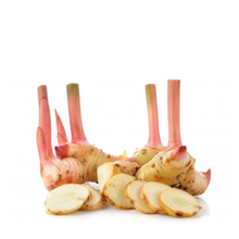 LENGKUAS/Galangal/Blue Ginger