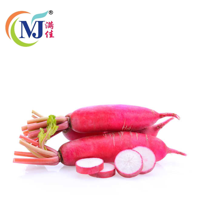 LOBAK/红萝卜 圆形 进口