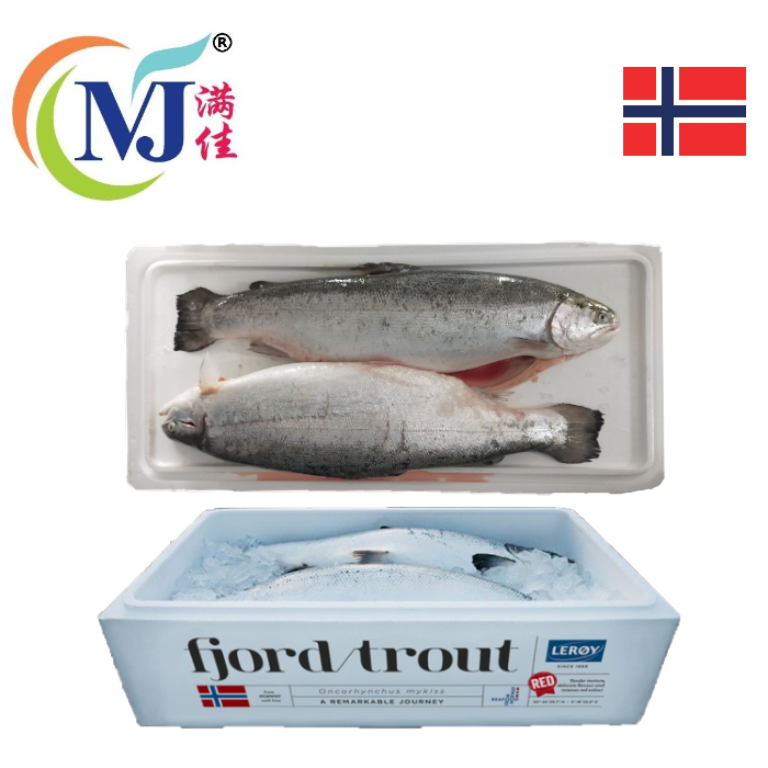 FISH SALMON TROUT Fresh Norway