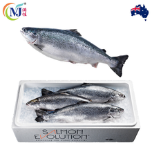 FISH SALMON WHOLE Norwegian