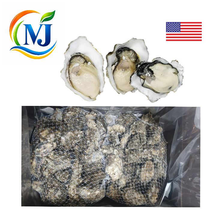 OYSTER LIVE USA
