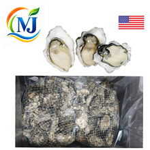 OYSTER LIVE USA