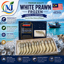 PRAWN WHITE Frozen 冷冻白虾