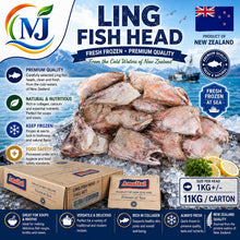 KEPALA IKAN LING PINK New Zealand Dibekukan