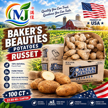 POTATO RUSSET USA WHITE-A