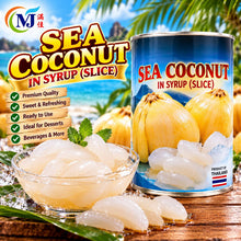 海椰子 / Kelapa Laut-PLAIN Alisan