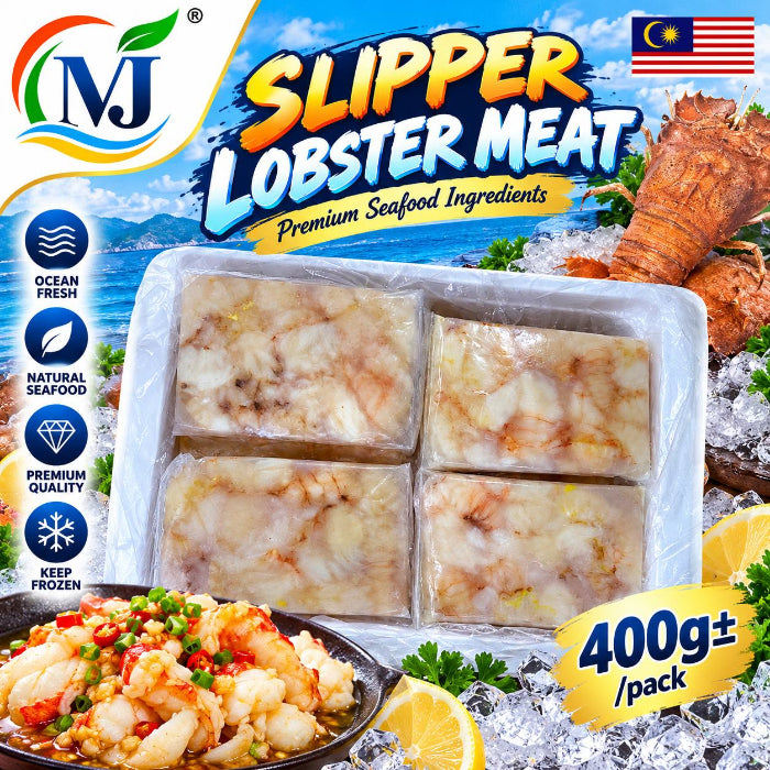 SLIPER LOBSTER Dibekukan