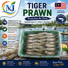 A promotional product graphic for Tiger Prawn from MJ, showing a large cluster of frozen tiger prawns in a clear plastic bag on a beach backdrop. The image includes marketing text, a Malaysian flag, a circular 'Farm Raised Premium Quality' seal, and feature icons for quality, freshness, safety, and storage.