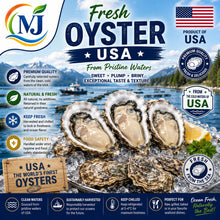 OYSTER LIVE USA